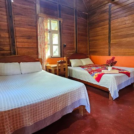 Cabanas Yax-Ha Arroyo Agua Azul Eksteriør billede