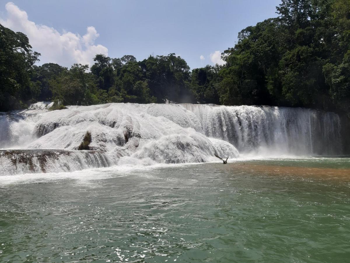 Cabanas Yax-Ha Arroyo Agua Azul Eksteriør billede