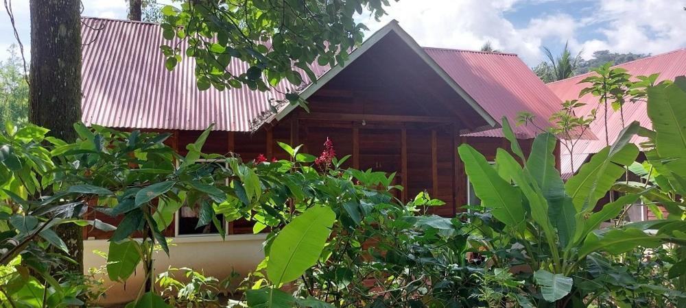 Cabanas Yax-Ha Arroyo Agua Azul Eksteriør billede