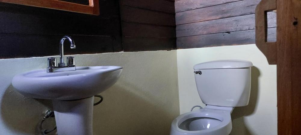 Cabanas Yax-Ha Arroyo Agua Azul Eksteriør billede